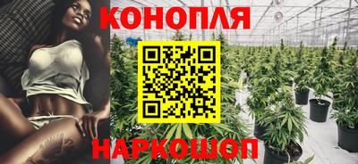 стафф Волгодонск