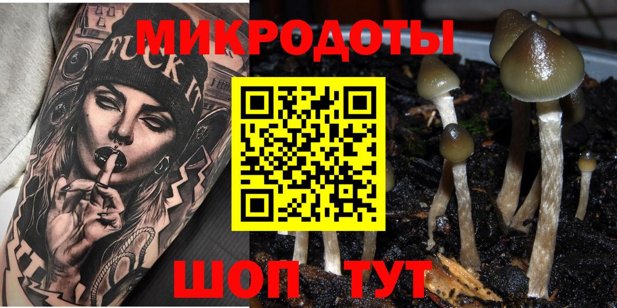 Галлюциногенные грибы ЛСД Красноуфимск